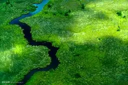 تصاویر فینالیست مسابقه عکاسی نشنال جئوگرافیک