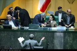 حواشی صحن علنی مجلس شورای اسلامی/تصاویر