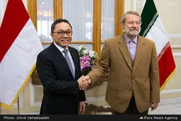 حاشیه های دیدار روسای مجلس اندونزی و ایران/تصاویر