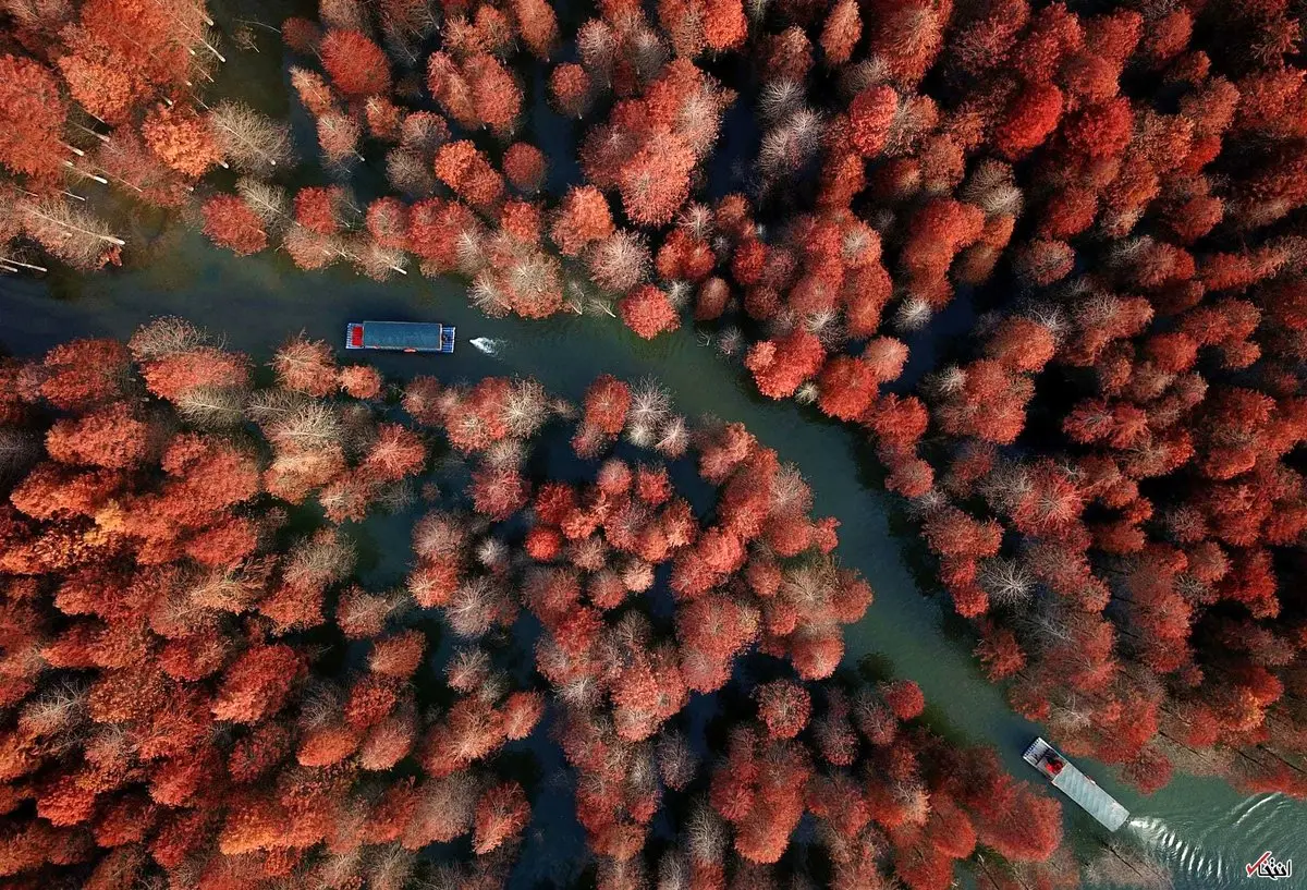 تصویری از پاییز رویایی در پارک جنگلی چینگلانگوان در چین