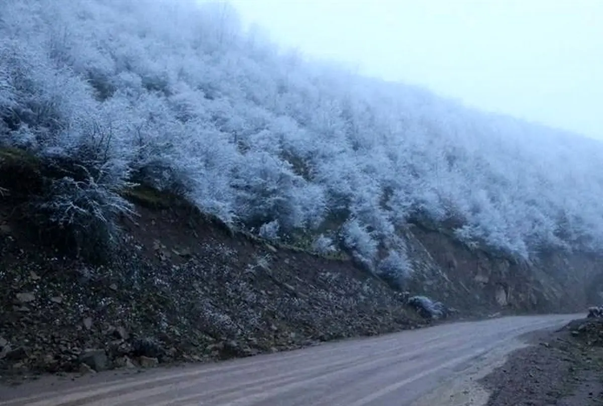 بارش برف پاییزی در ییلاقات گیلان / تصاویر