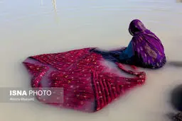 عکس / سیل زده ای در منطقه «عورکی» سیستان و بلوچستان