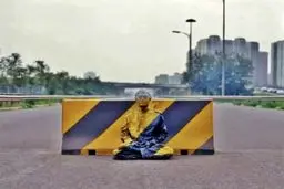 استتار دیدنی و زیبای یک هنرمند چینی /عکس