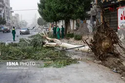 وزش باد شدید و گرد و خاک در بندرعباس/تصاویر