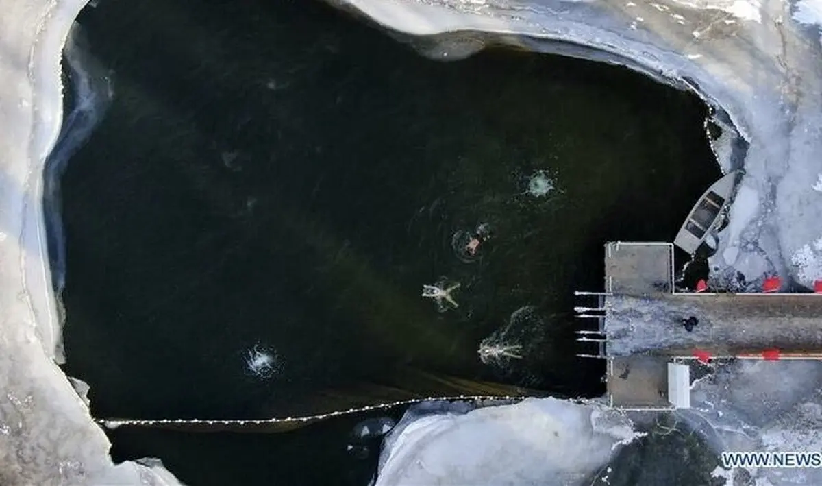 شنا در آب‌های منفی صفر/ عکس