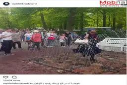 آب بازی بازیگر زن ایرانی در روسیه! / عکس