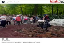 آب بازی بازیگر زن ایرانی در روسیه! / عکس