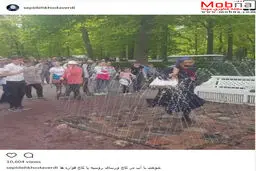 آب بازی بازیگر زن ایرانی در روسیه! / عکس