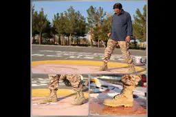 ترامپ با ضربات پوتین نقش بر زمین شد/عکس