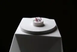 عکس: بزرگترین الماس صورتی تاریخ روسیه