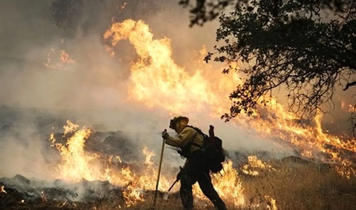 آتش سوزی 45 روزه در جنگل های کالیفرنیای آمریکا؛ نابودی 400 خانه و فرار 23 هزار نفر+عکس