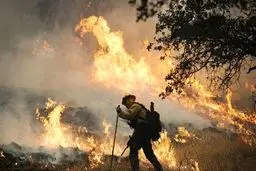 آتش سوزی 45 روزه در جنگل های کالیفرنیای آمریکا؛ نابودی 400 خانه و فرار 23 هزار نفر+عکس