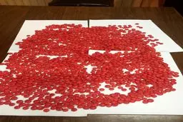 ترامادول‌های قاچاق در چمدان مسافری/عکس