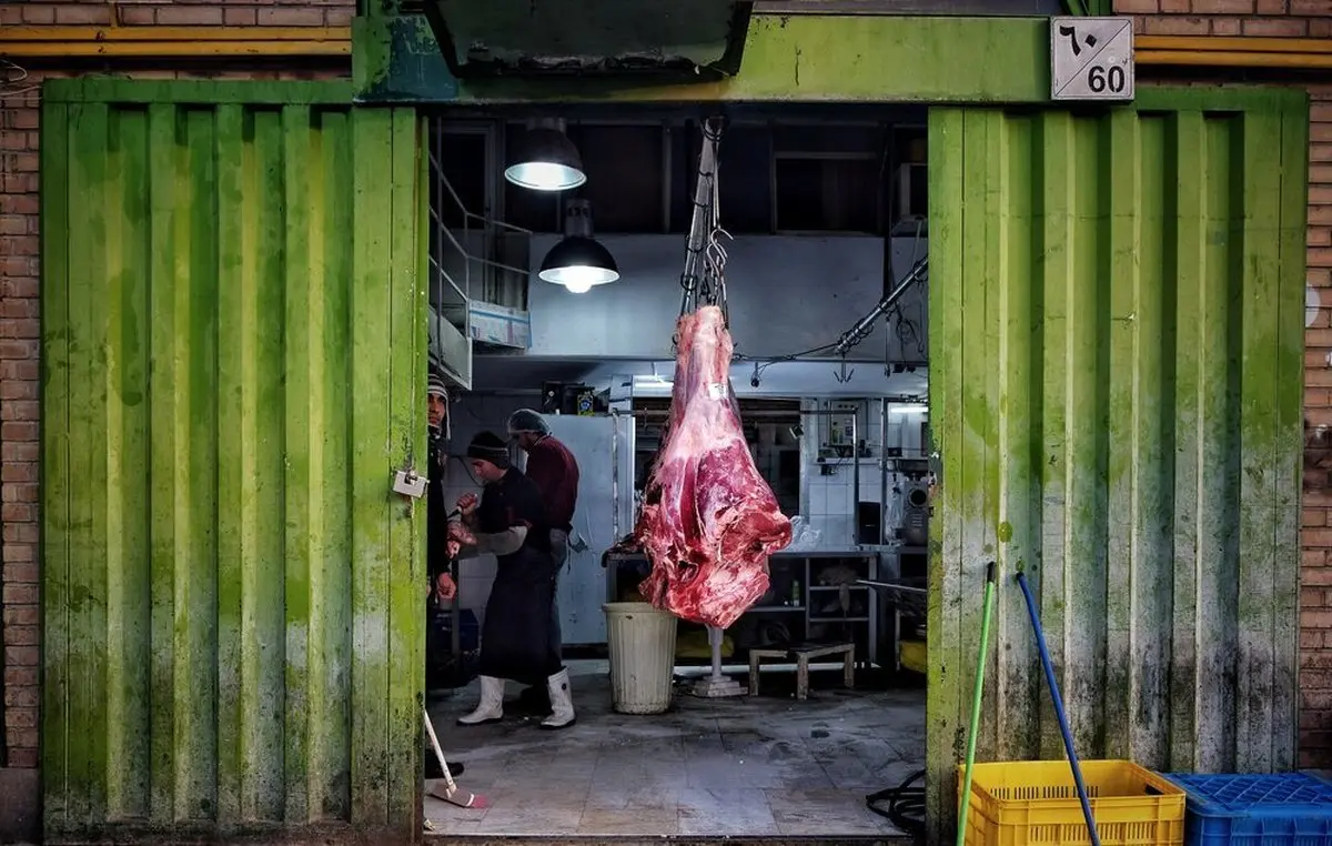 تصاوير: توزیع «گوشت» تنظیم بازار