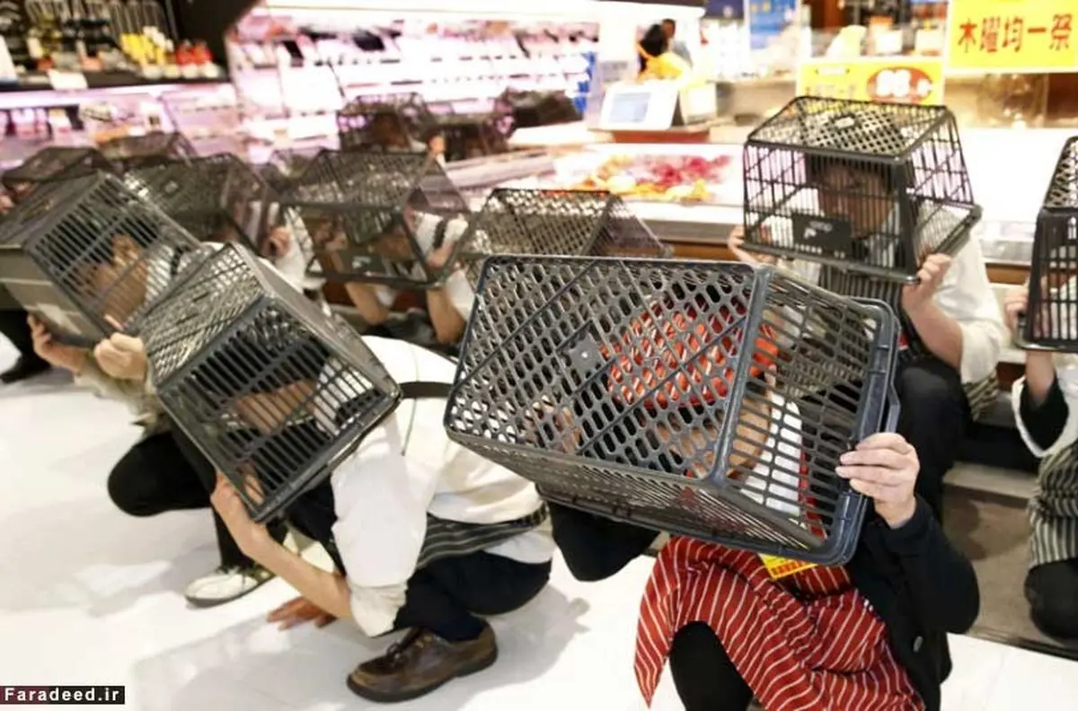 انجام این کار در ایران را حتما مسخره می کردیم/عکس