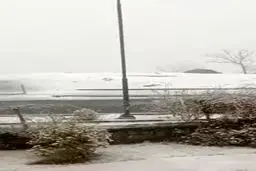  بارش برف در تهران