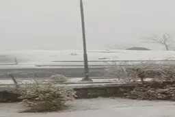  بارش برف در تهران