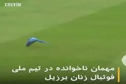 فیلم: مهمان ناخوانده در تیم فوتبال زنان
