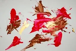 حیوانات باغ‌وحشی که برای تامین هزینه نگهداری خود کار می‌کنند + تصاویر