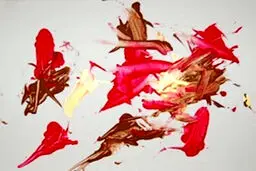 حیوانات باغ‌وحشی که برای تامین هزینه نگهداری خود کار می‌کنند + تصاویر