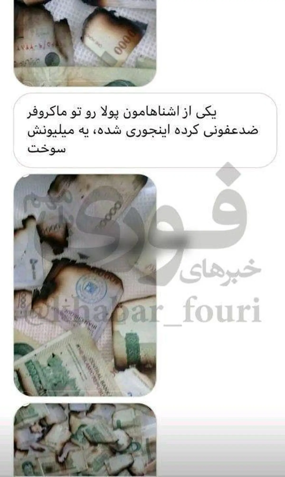 ضدعفونی عجیب پول در مایکروفر + عکس