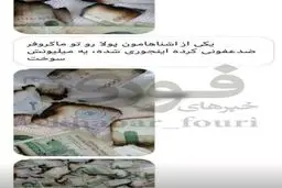 ضدعفونی عجیب پول در مایکروفر + عکس