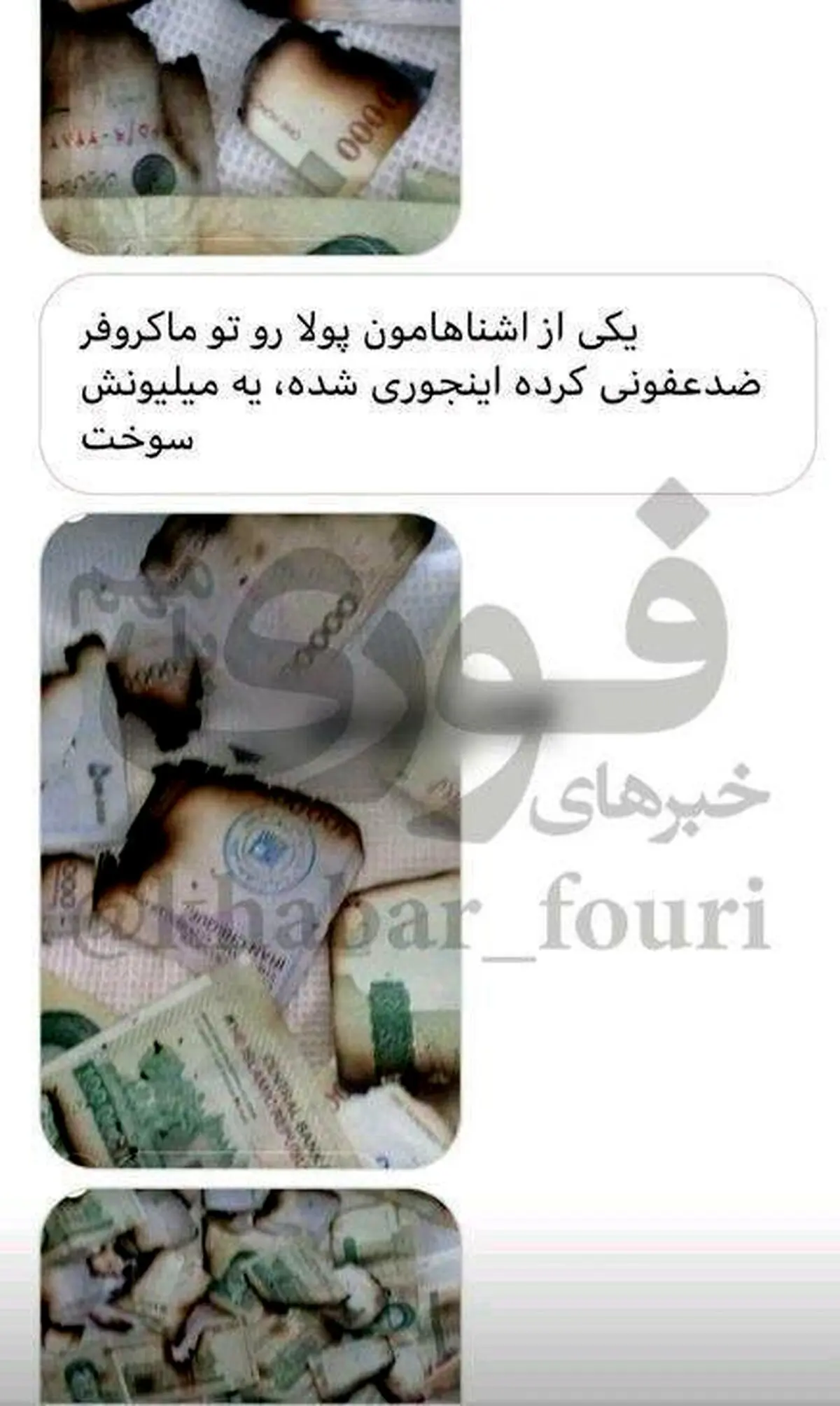 ضدعفونی عجیب پول در مایکروفر + عکس