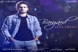دانلود آهنگ جدید وحید امرایی به نام برگرد