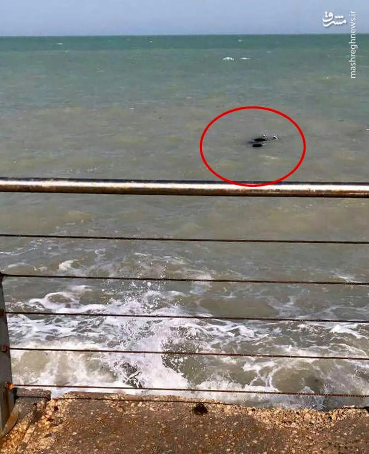 کشف جسد یک زن در ساحل بوشهر/عکس