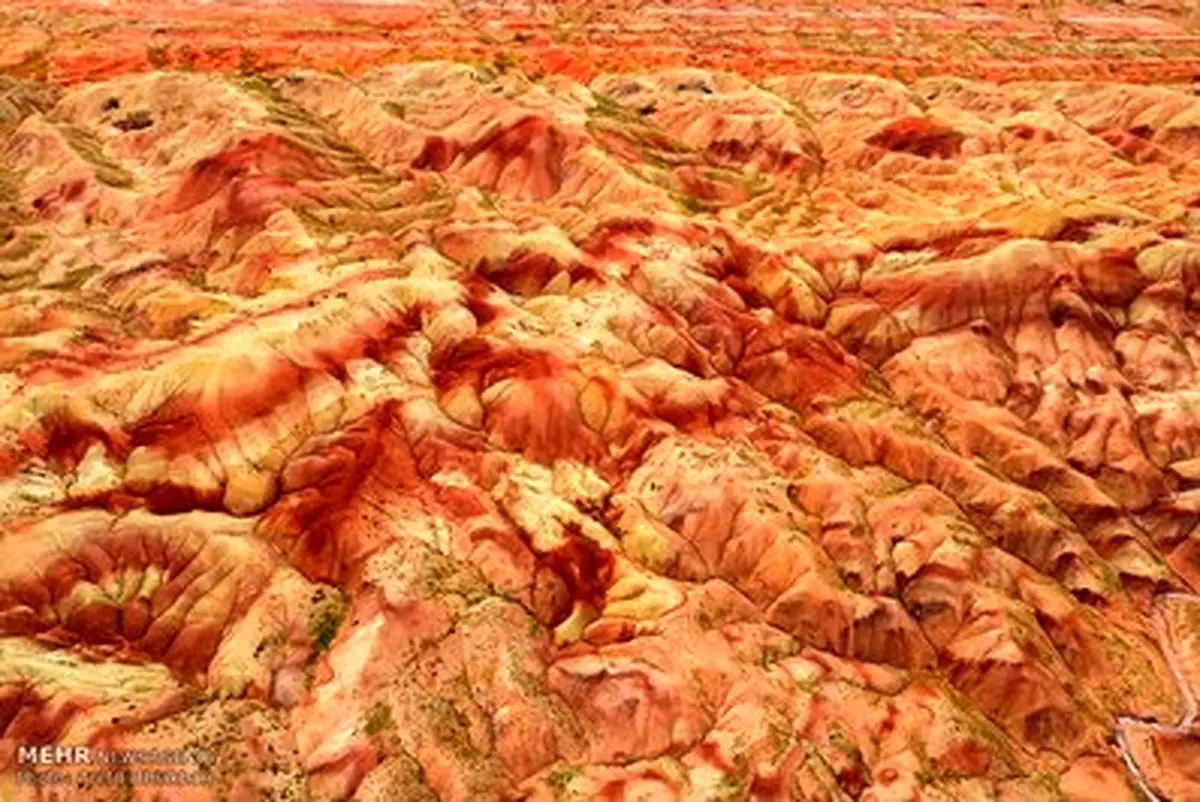 این تصاویر واقعی است!/اعجاز طبیعت در کویر اشتهارد