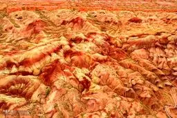 این تصاویر واقعی است!/اعجاز طبیعت در کویر اشتهارد