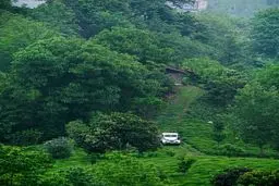 عکس/ اگر به گیلان رفتید به اینجا هم بروید

