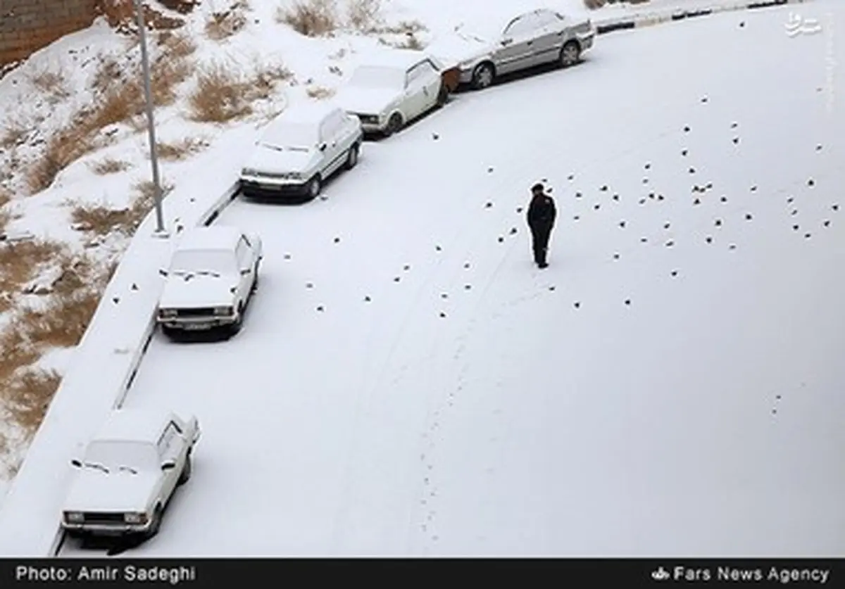 تصاویر دیدنی از بارش برف در تبریز
