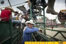 گاو بازی با سبک و سیاق راگبی+تصاویر