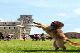 تصاویر | گردشگرانی که برج کج پیزا را سوژه عکس‌هایی متفاوت کردند