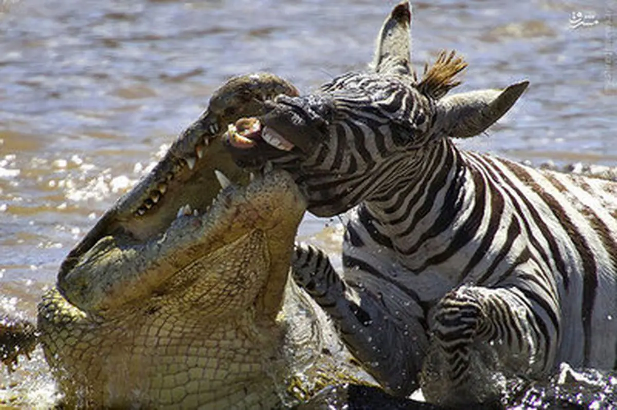 عبور از رودخانه مرگ/تصاویر