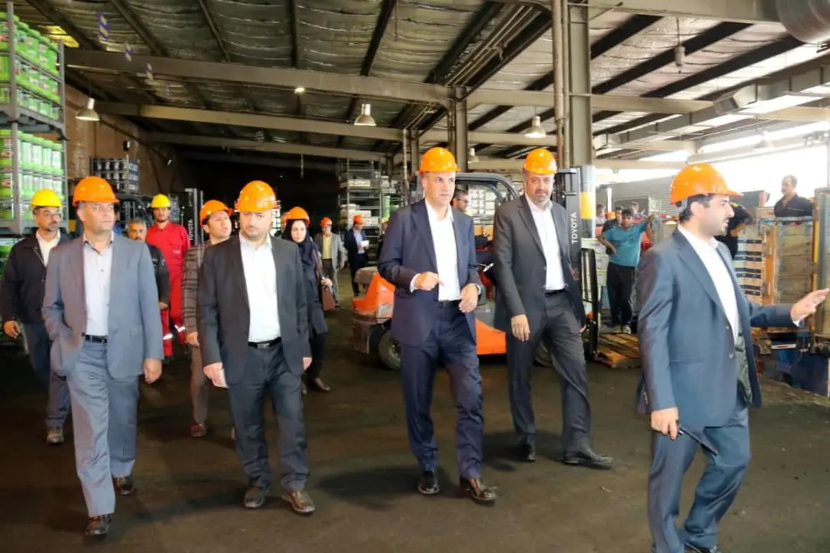 معاون اقتصادی وزیر کار: روند رشد و توسعه ایرانول قابل تقدیر  و باید ادامه یابد 