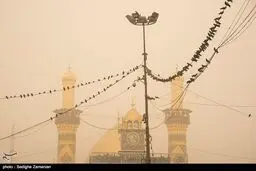 گرد و غبار مهمان ناخوانده کربلا/تصاویر