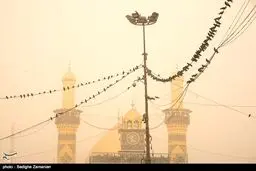 گرد و غبار مهمان ناخوانده کربلا/تصاویر