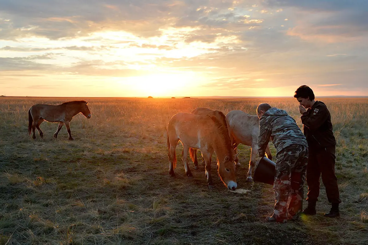 تصویری متفاوت از پوتین در یک مزرعه پرورش اسب