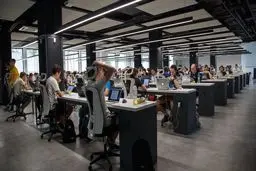 شش قدم برای حل موفقیت آمیز مشکلات در محل کار