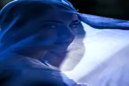 عکس خلاقانه ترلان پروانه
