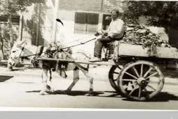 اولین وسیله حمل زباله (+عکس)