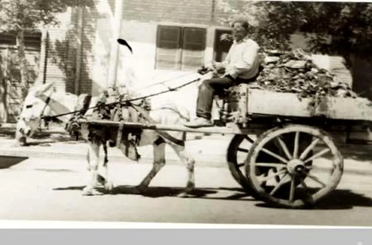 اولین وسیله حمل زباله (+عکس)