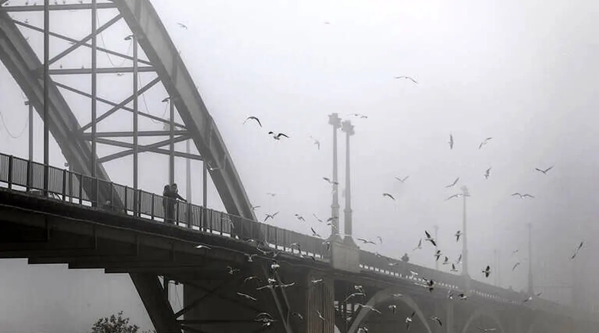 اهواز غرق در مِه/ عکس