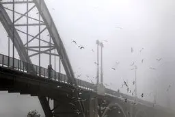 اهواز غرق در مِه/ عکس