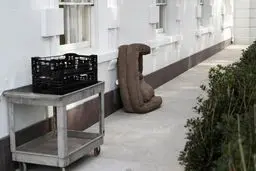 جای خالی سگ‌های جو بایدن در کاخ سفید+عکس