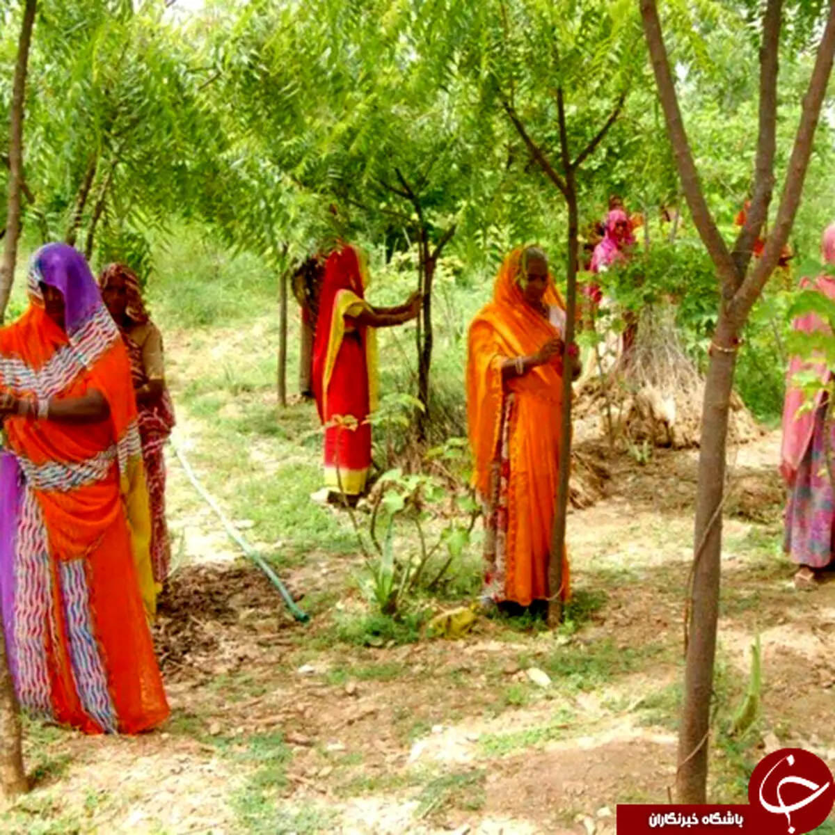 رسم جالب قبیله هندی! +عکس
