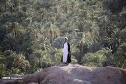 مستندی از  زندگی متفاوت یک روحانی / تصاویر