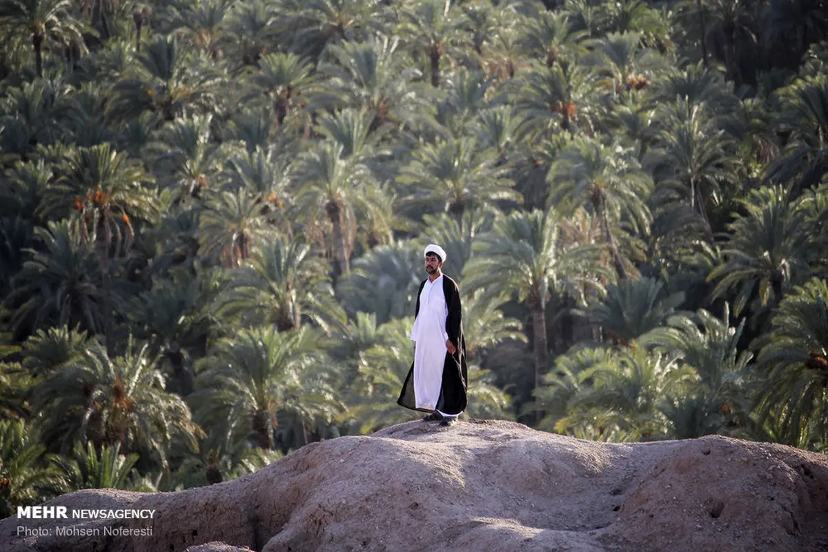 مستندی از  زندگی متفاوت یک روحانی / تصاویر